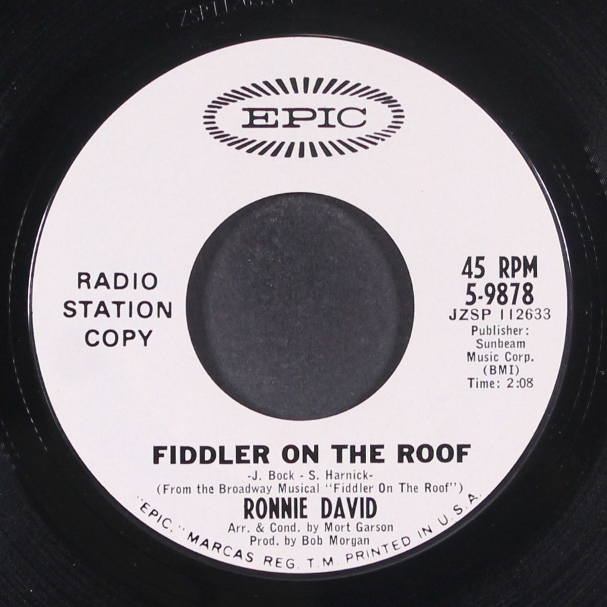 fiddler on the roof by RONNIE DAVID