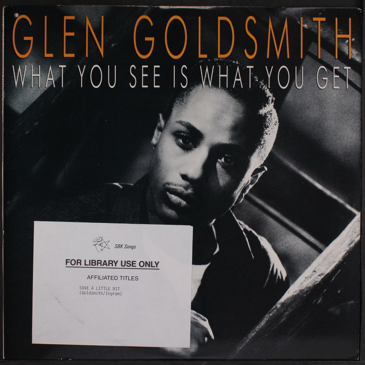 what you see is what you get by GLEN GOLDSMITH