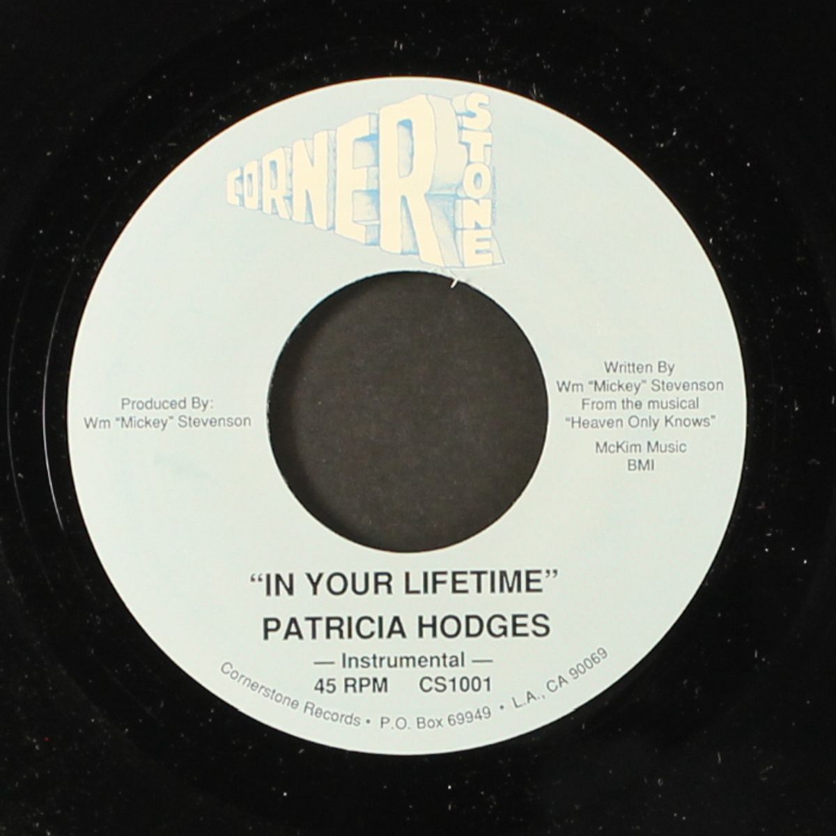 in your lifetime / instro by PATRICIA HODGES