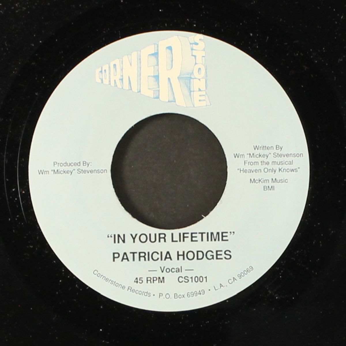 in your lifetime / instro by PATRICIA HODGES