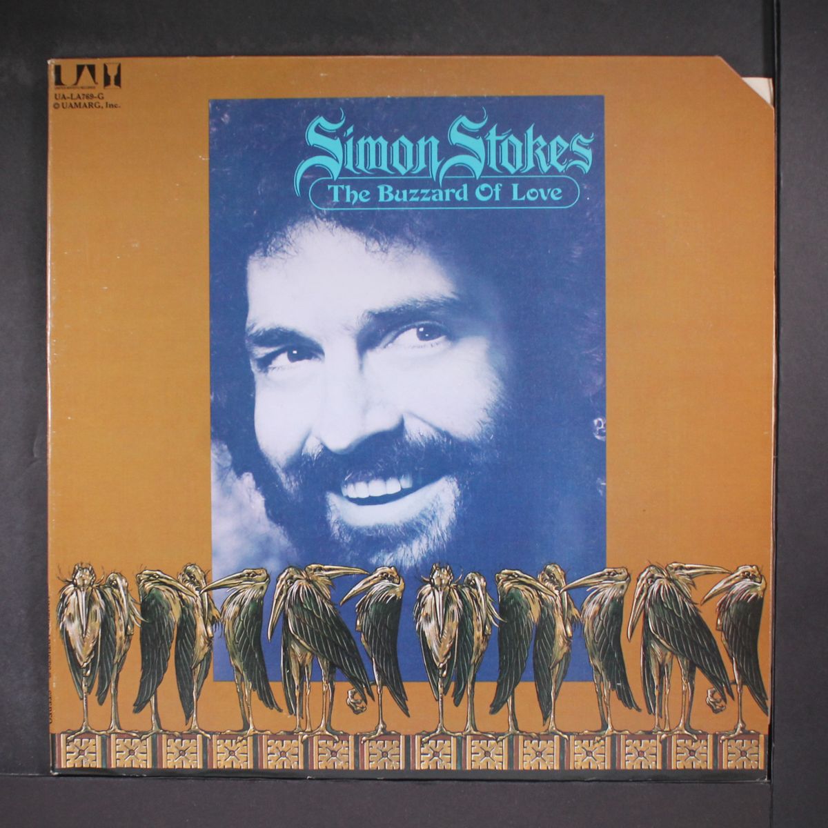 the buzzard of love by SIMON STOKES