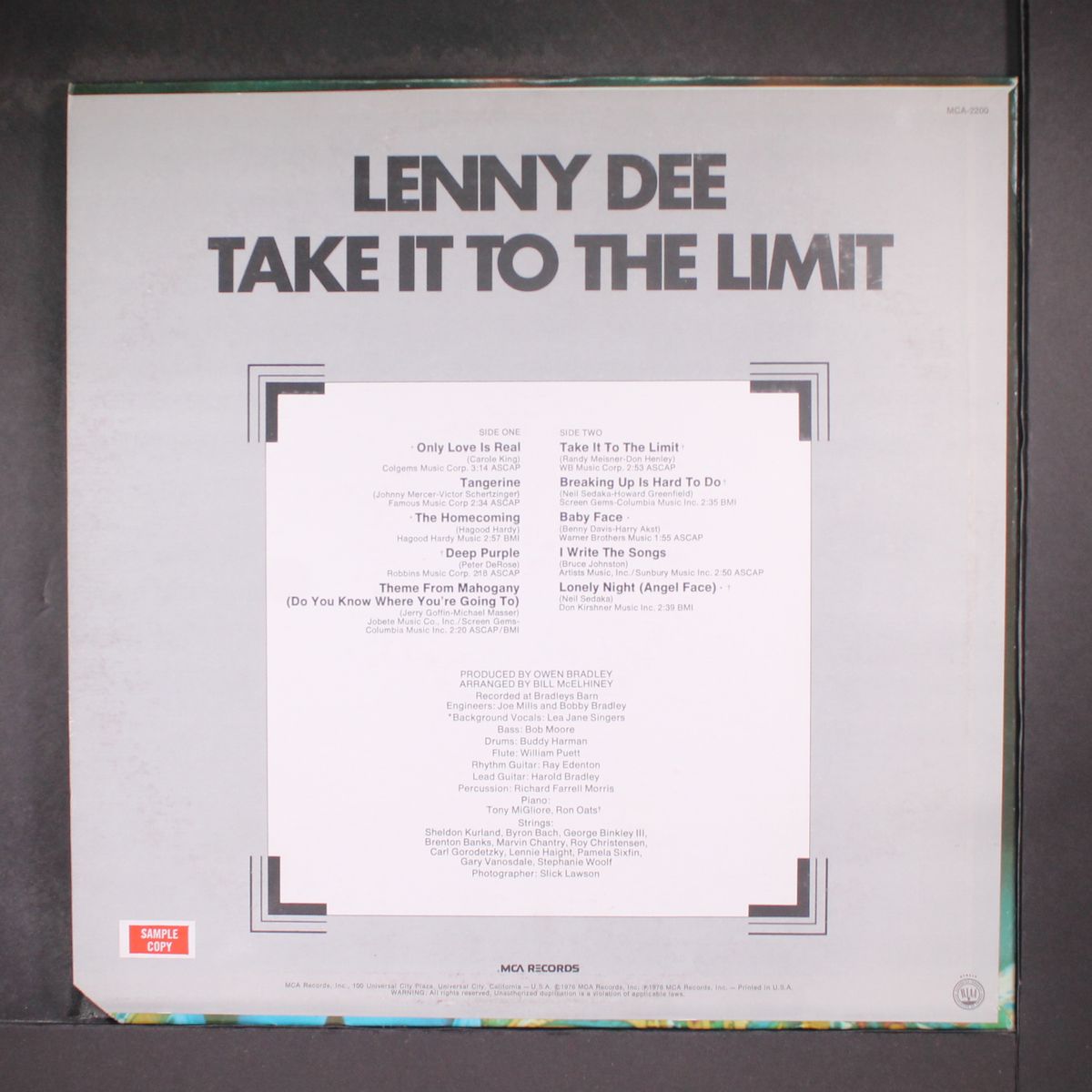 take it to the limit by LENNY DEE