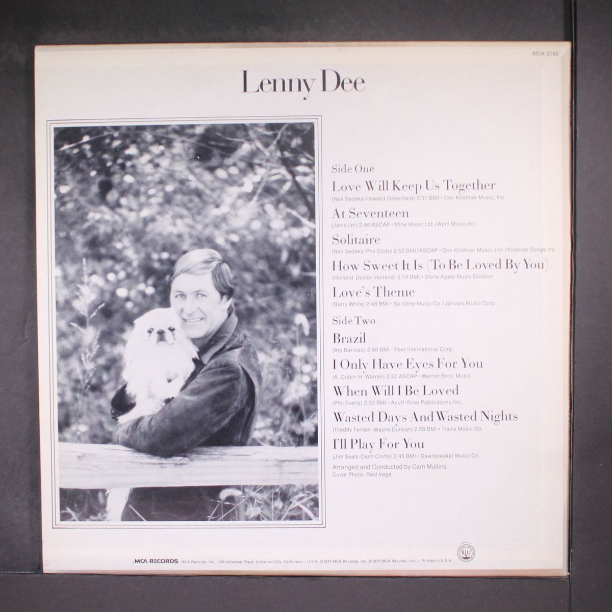 i'll play for you by LENNY DEE