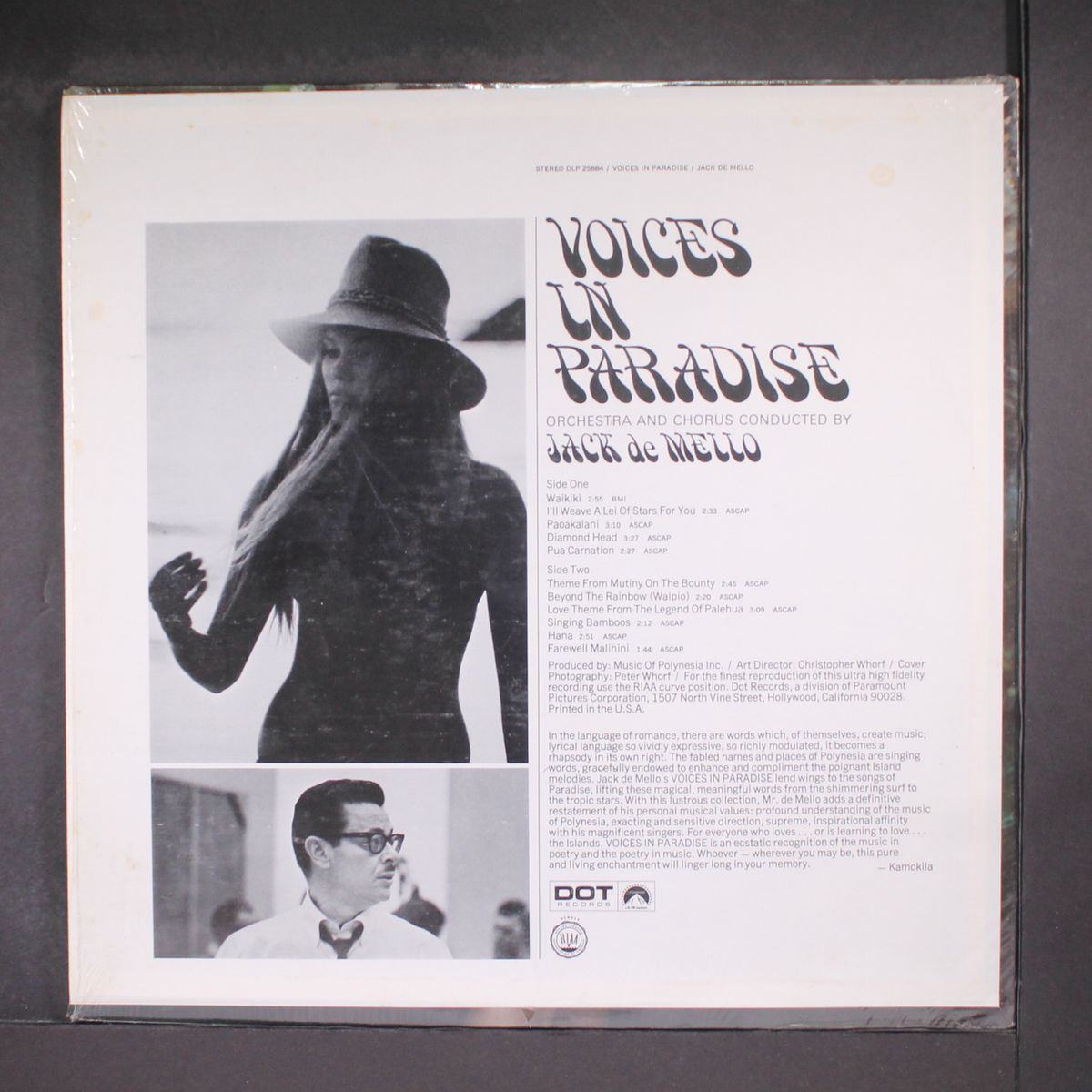 voices in paradise by JACK DE MELLO
