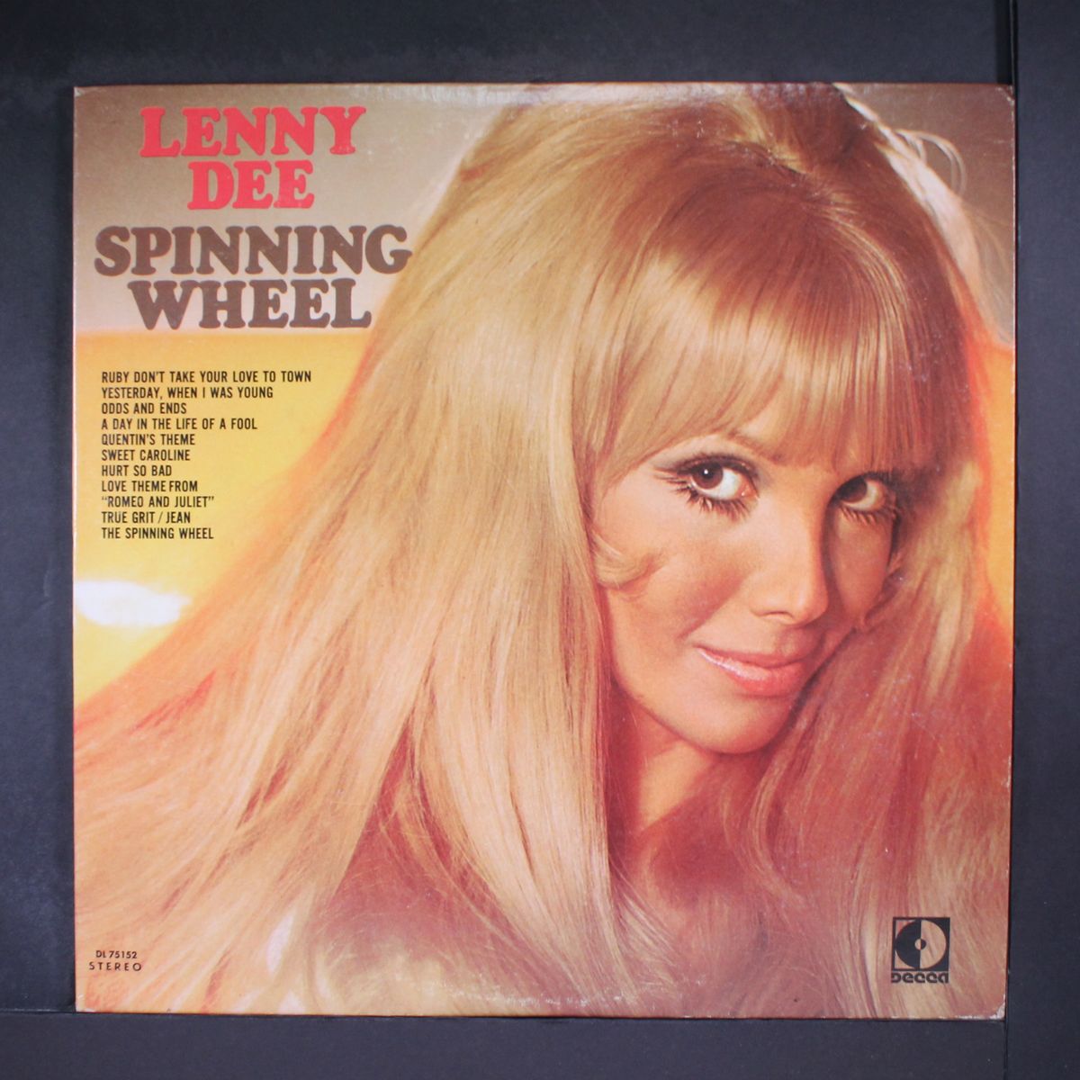 spinning wheel by LENNY DEE