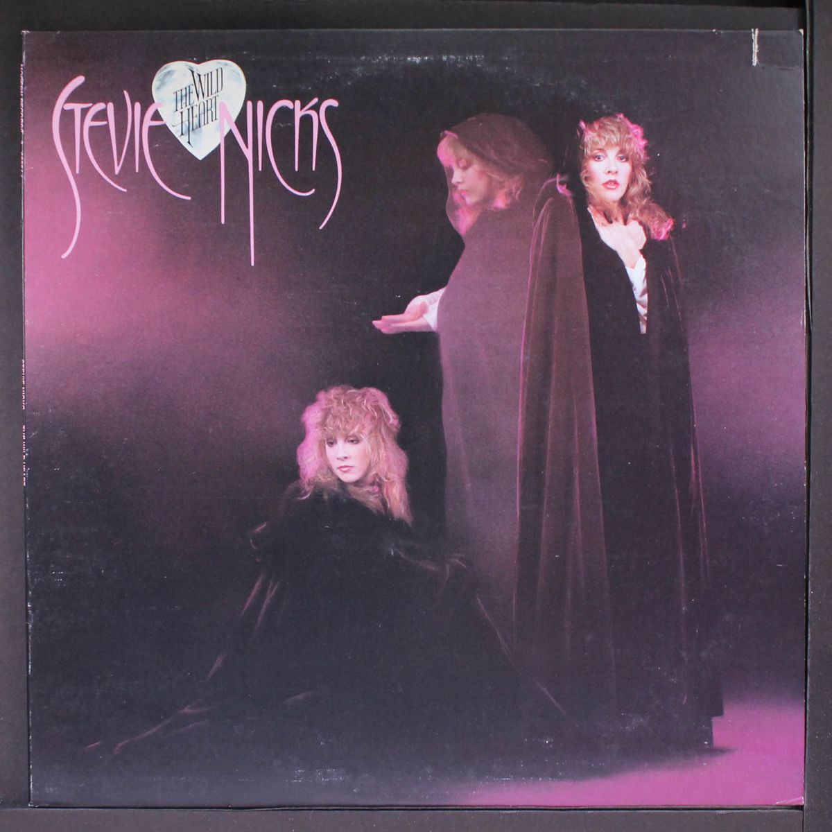 the wild heart by STEVIE NICKS