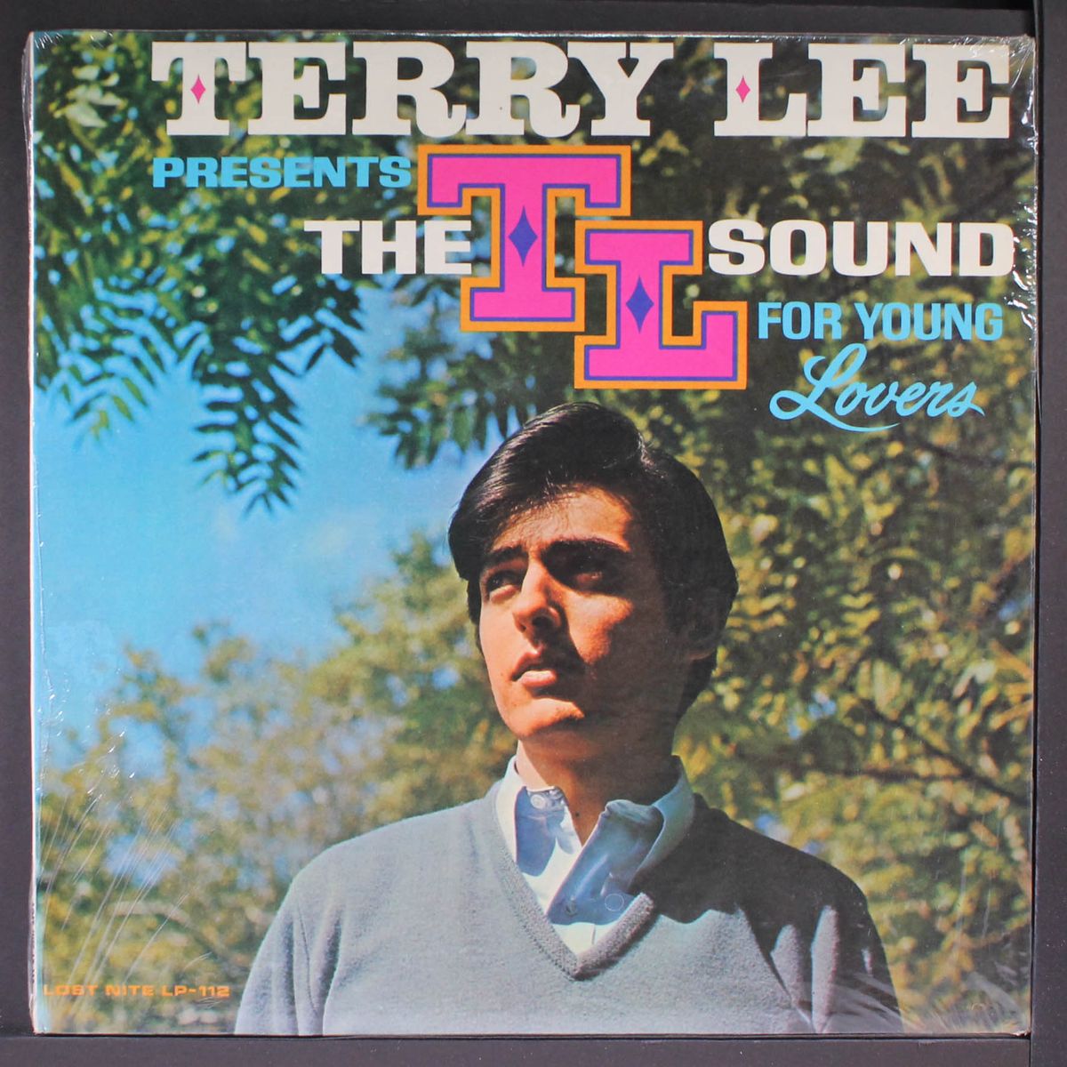 the terry lee sound for young lovers by VARIOUS