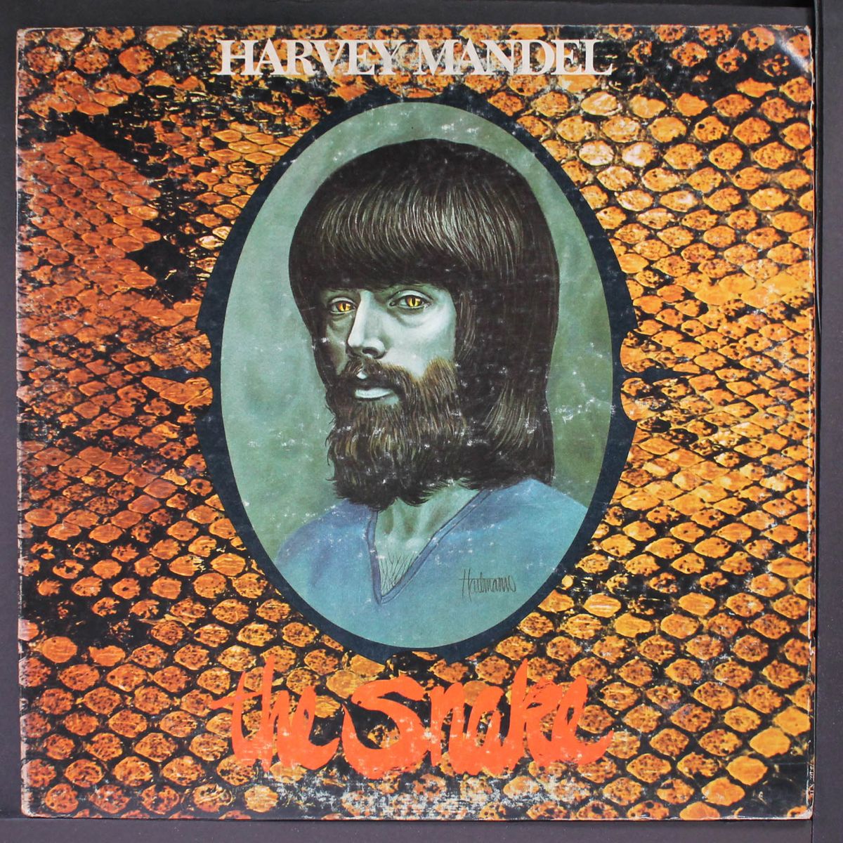 the snake by HARVEY MANDEL