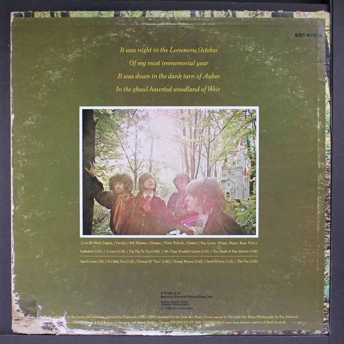 in the woodland of weir by LITTLE BOY BLUES