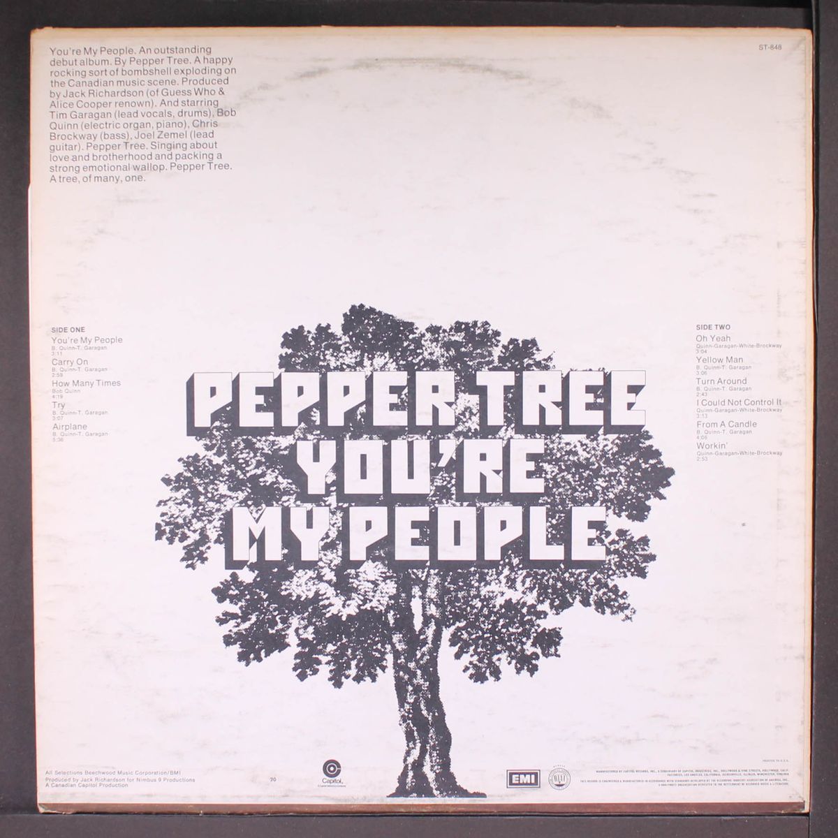you're my people by PEPPER TREE