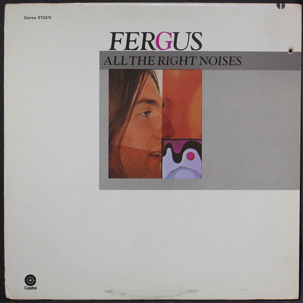 all the right noises by FERGUS