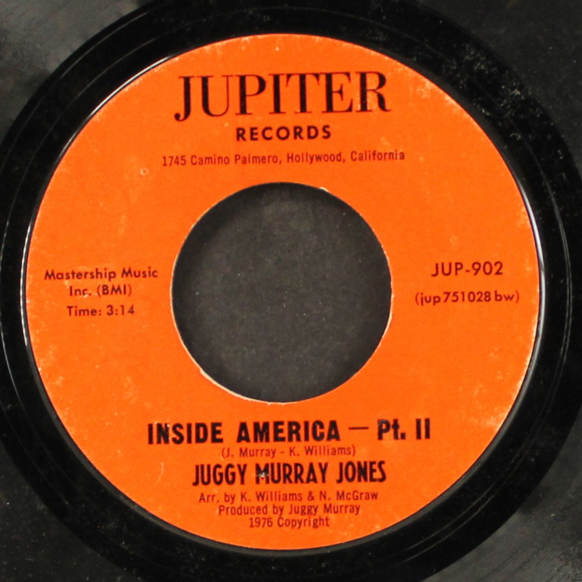 inside america / part 2 by JUGGY MURRAY JONES