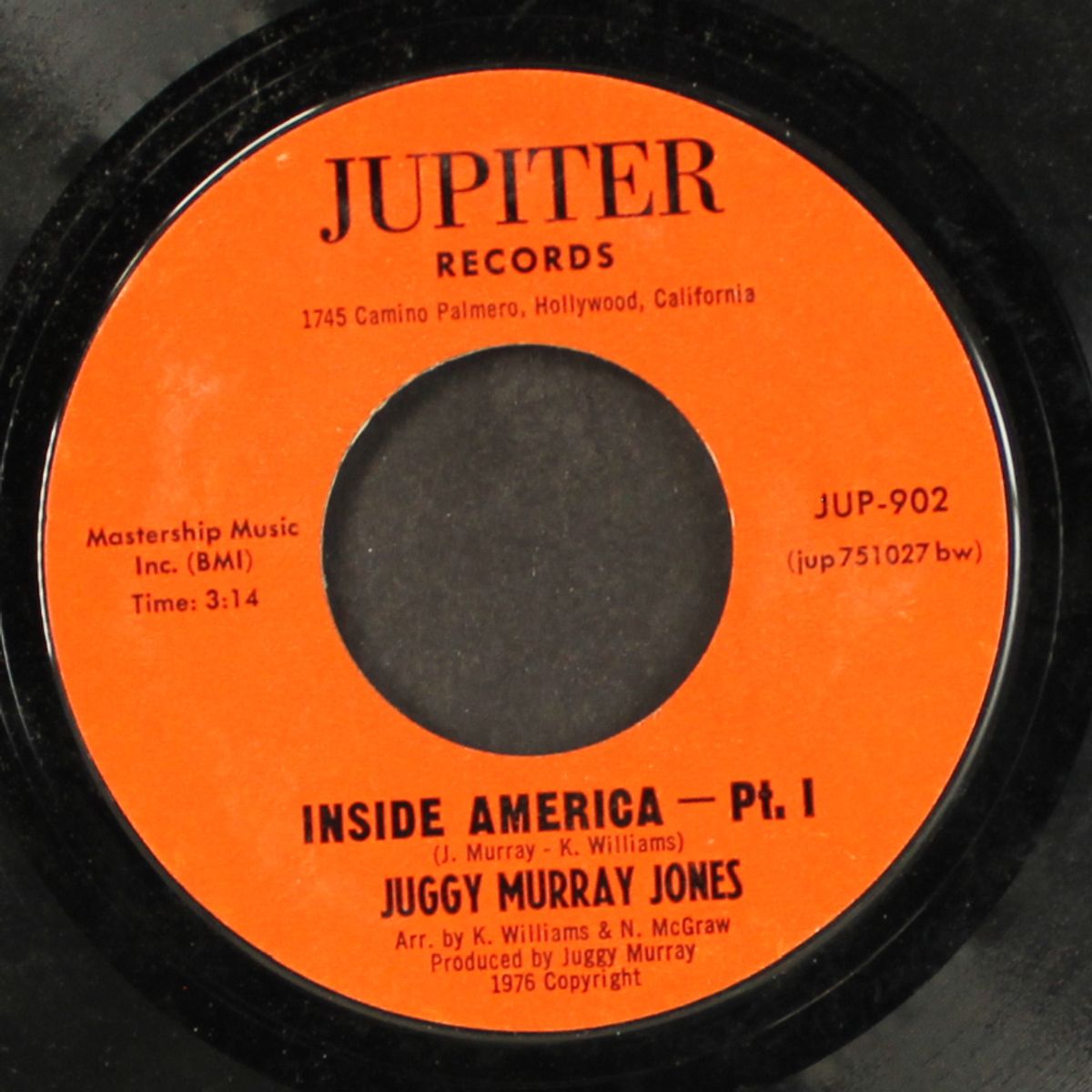 inside america / part 2 by JUGGY MURRAY JONES