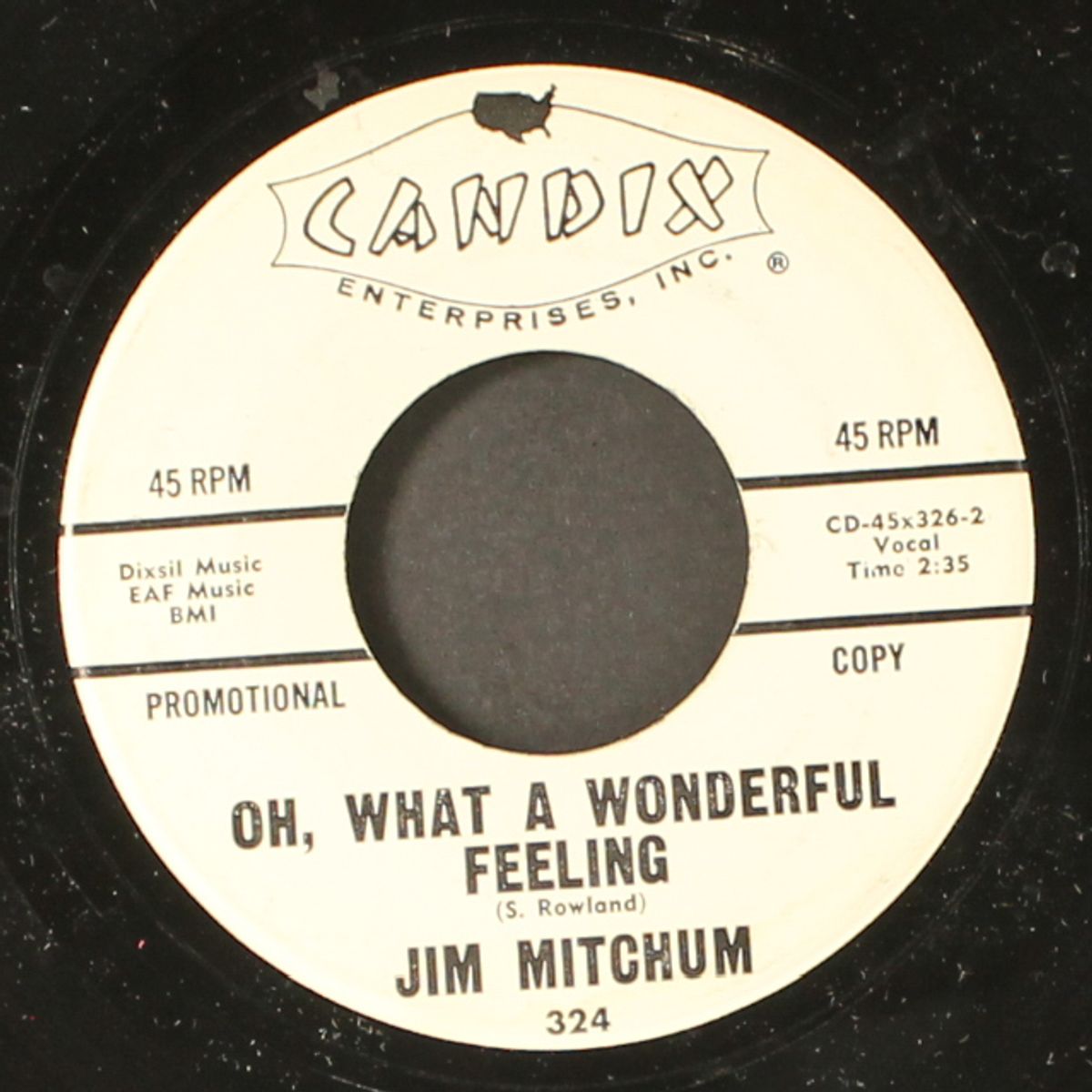 lonely birthday / oh, what a wonderful feeling by JIM MITCHUM