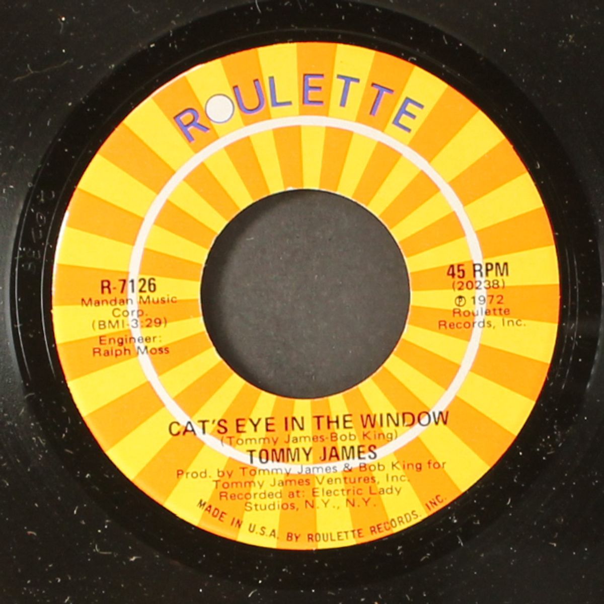 dark is the night / cat's eye in the window by TOMMY JAMES & SHONDELLS