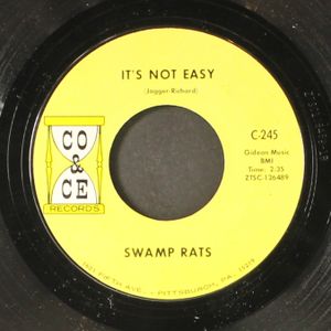 SWAMP RATS