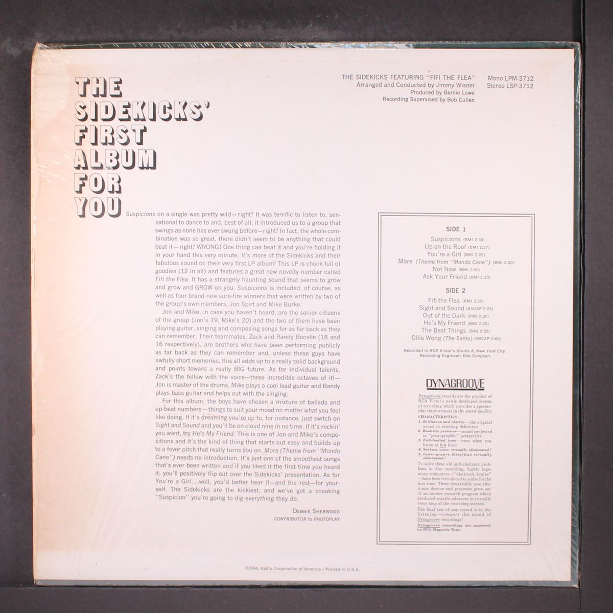 the sidekicks featuring 'fifi the flea' by SIDEKICKS