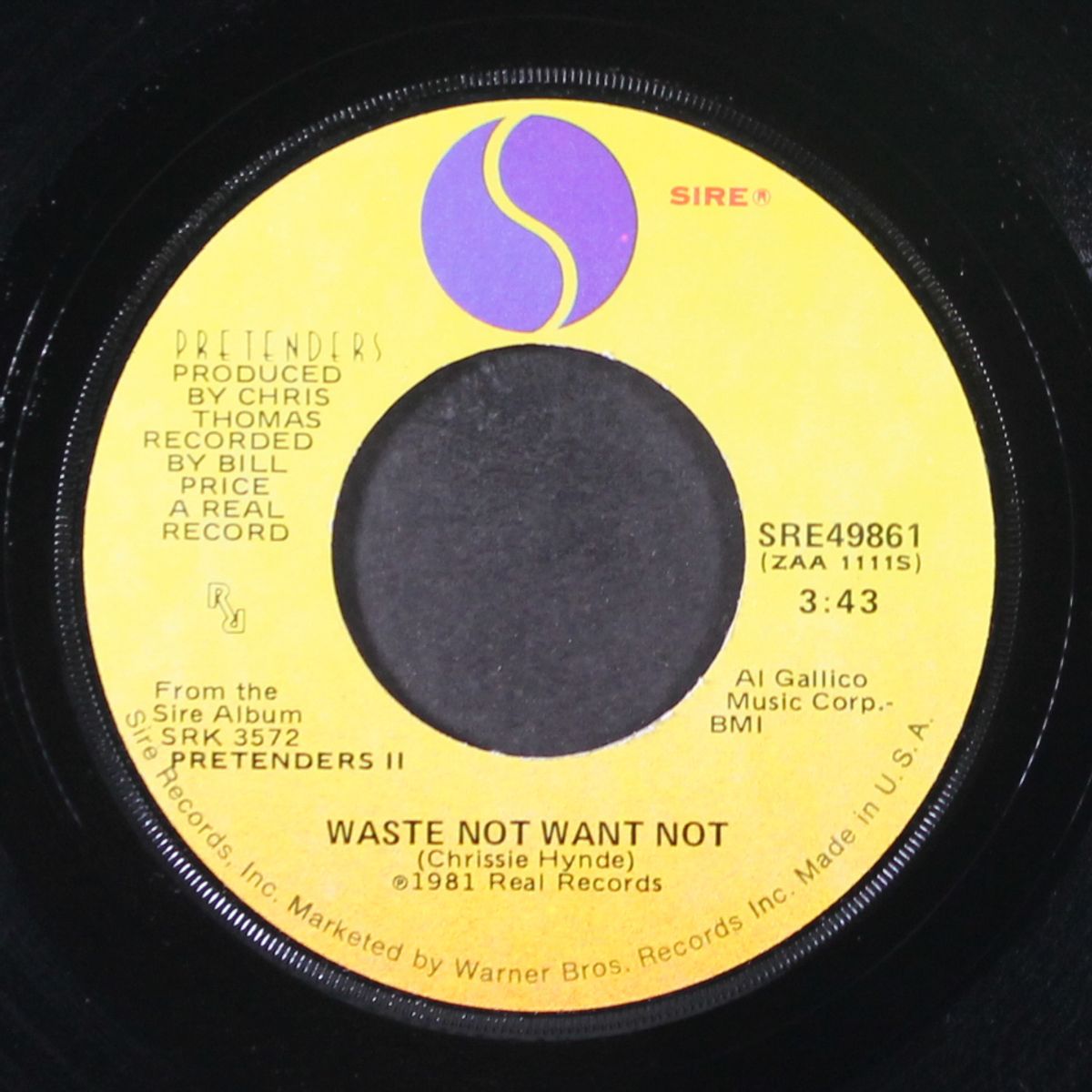 i go to sleep / waste not want not by PRETENDERS