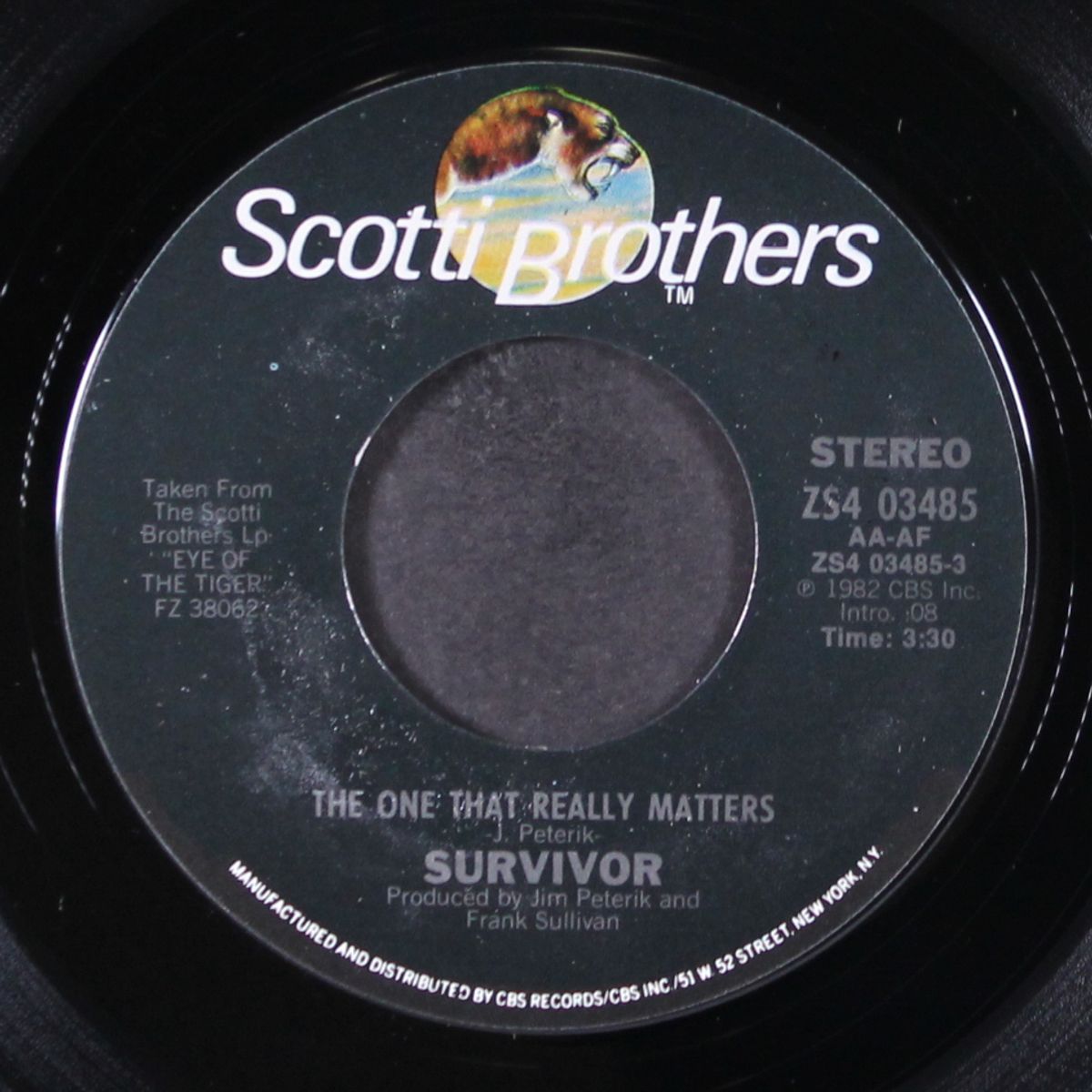 the one that really matters by SURVIVOR