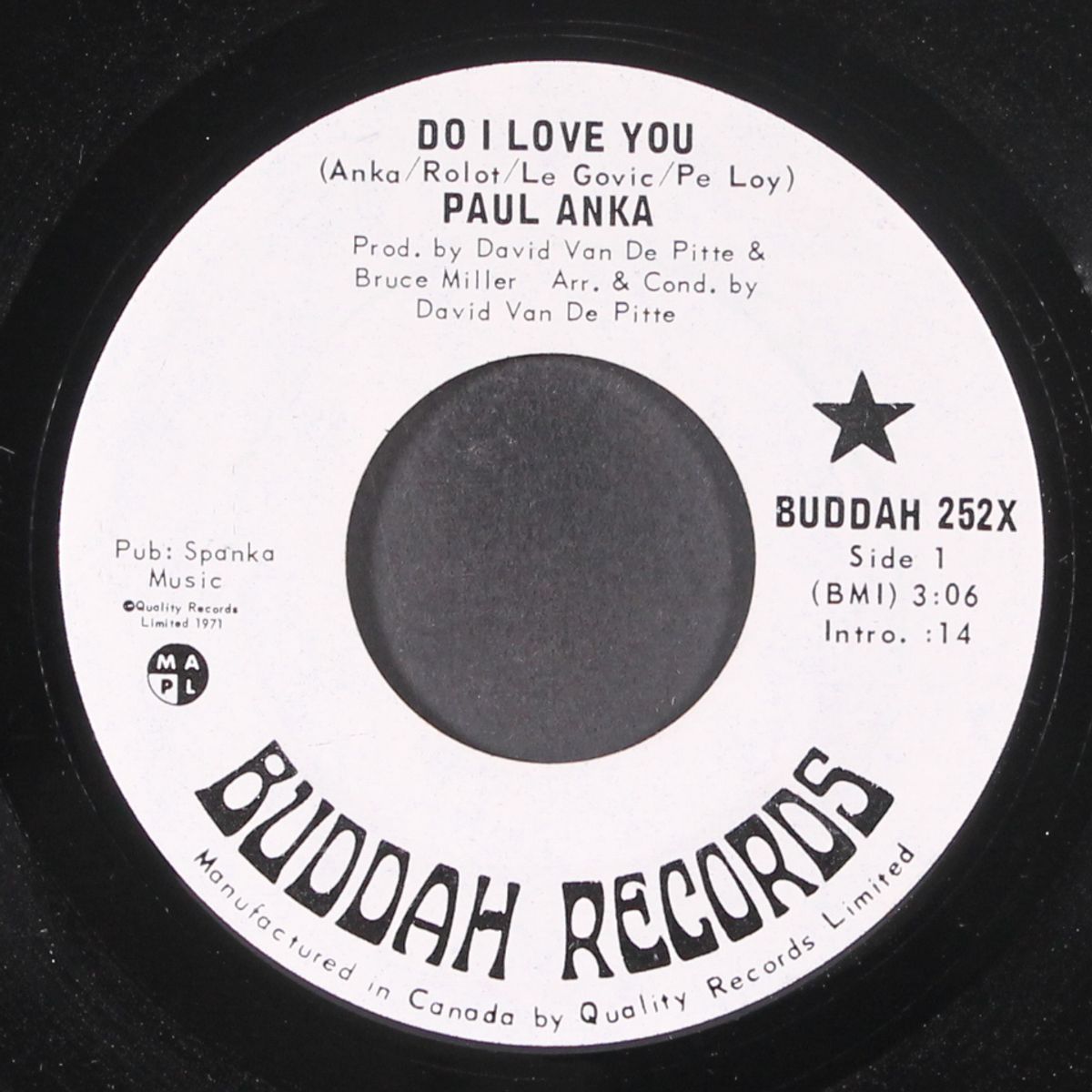 do i love you by PAUL ANKA
