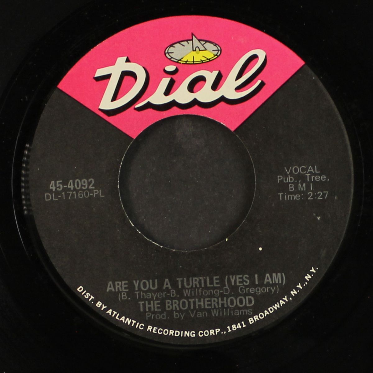 are you a turtle / mari by BROTHERHOOD