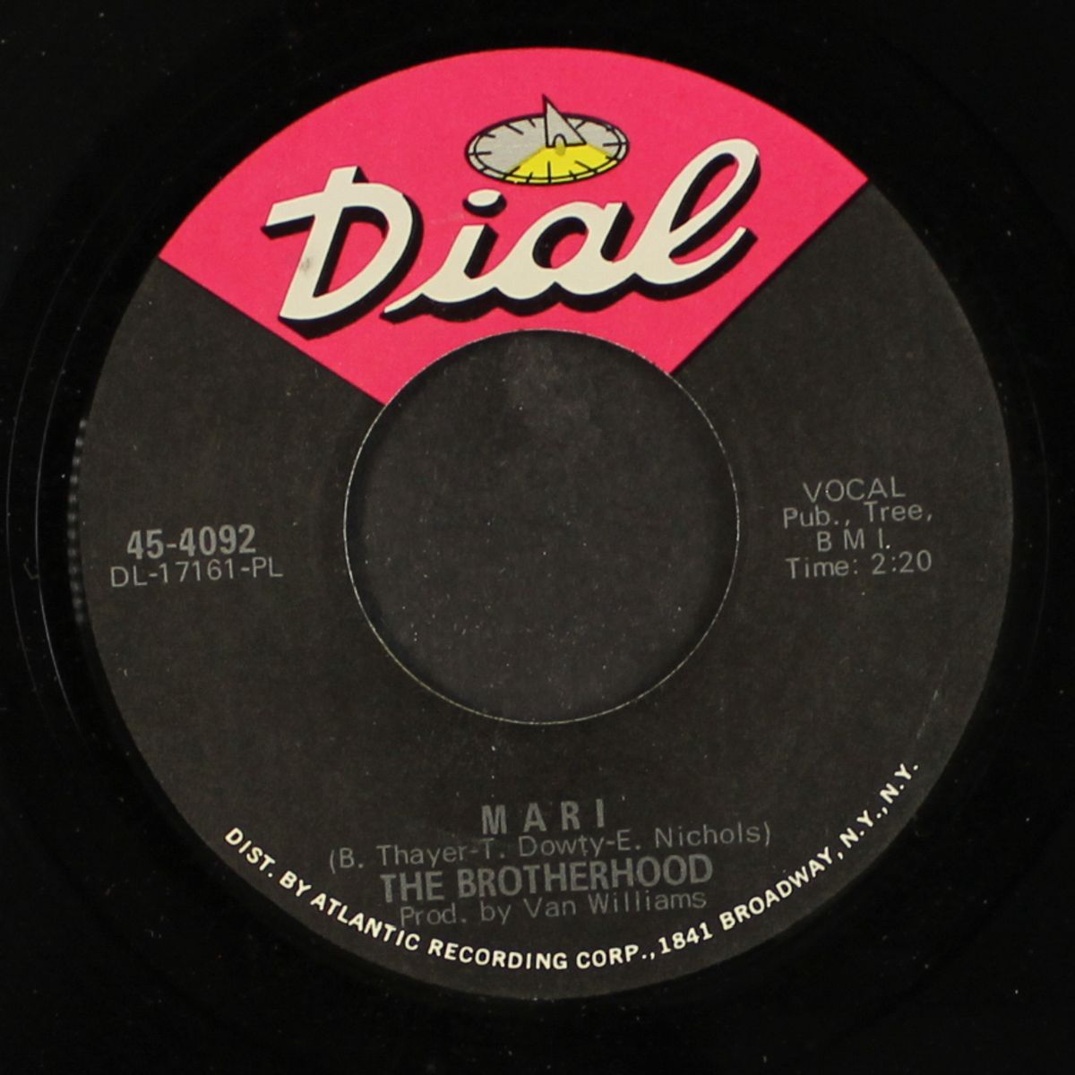are you a turtle / mari by BROTHERHOOD