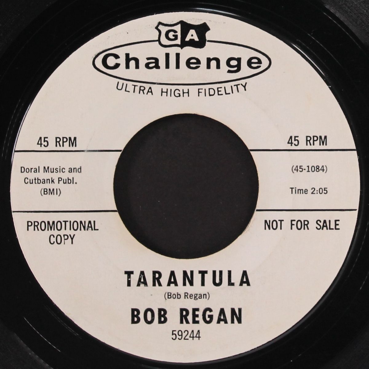 tarantula / highland lassie by BOB REGAN