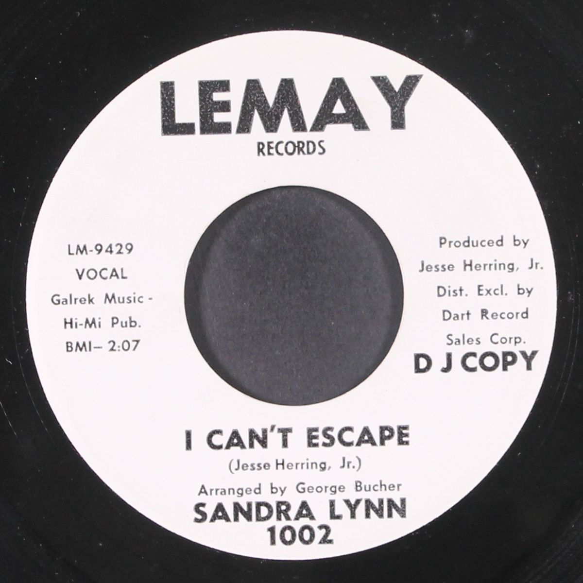 i can't escape / prove it by SANDRA LYNN