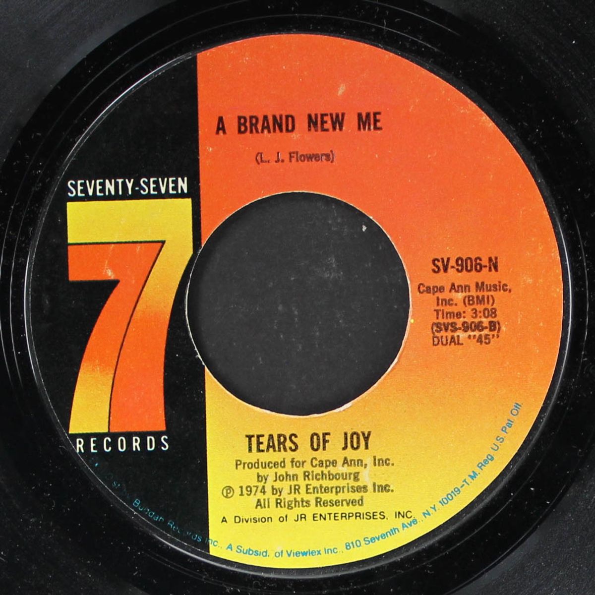 this is not your world / a brand new me by TEARS OF JOY