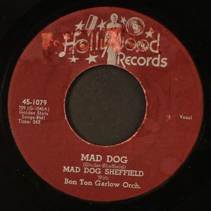 MAD DOG SHEFFIELD