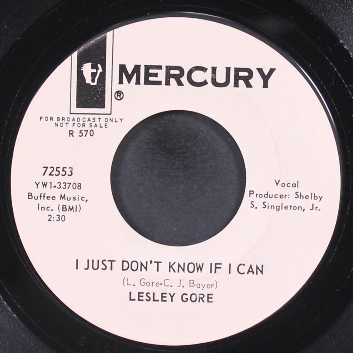 young love / i just don't know if i can by LESLEY GORE