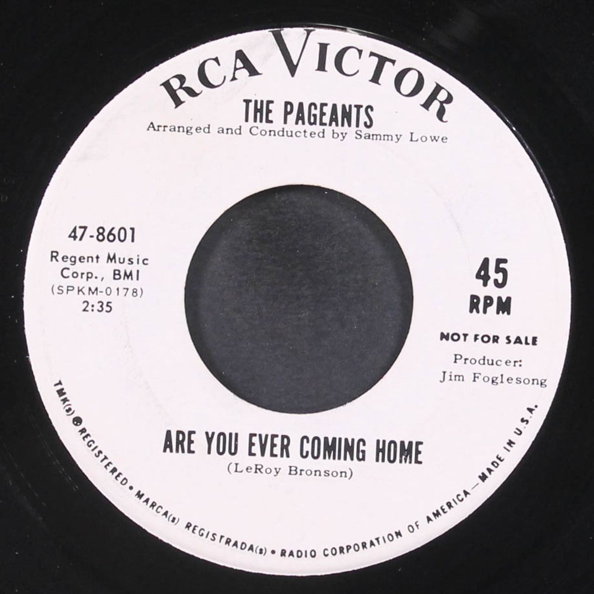 i'm a victim / are you ever coming home by PAGEANTS