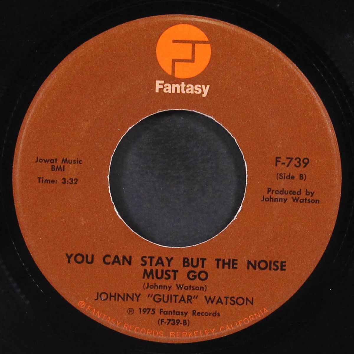 i don't want to be a lone ranger / you can stay but the noise must go by JOHNNY 'GUITAR' WATSON