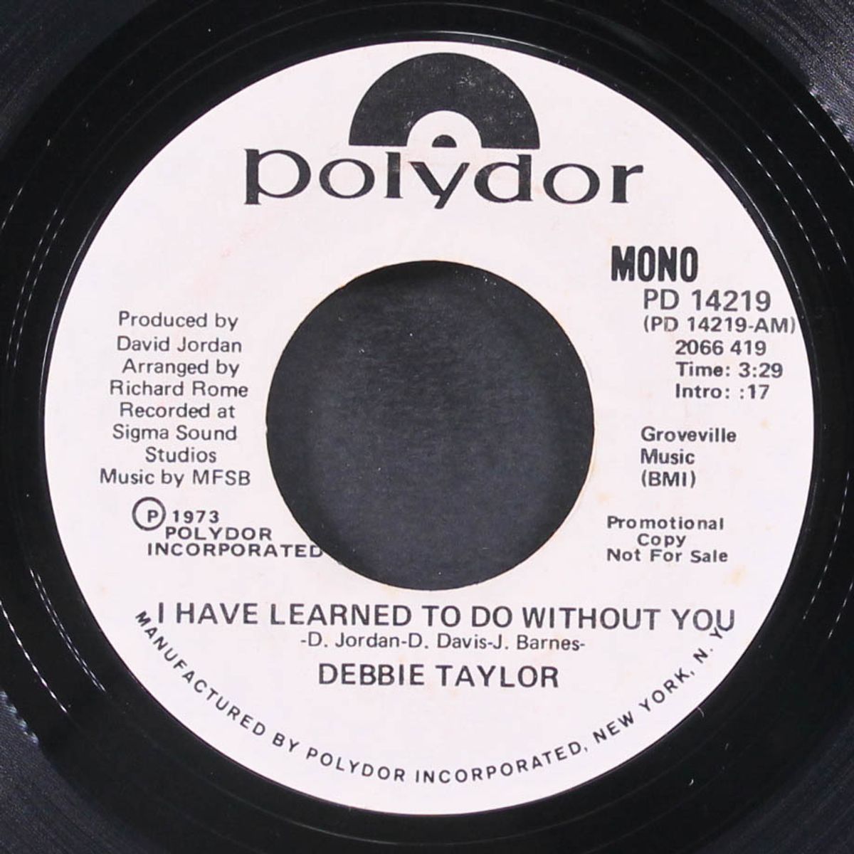 i have learned to do without you / mono by DEBBIE TAYLOR