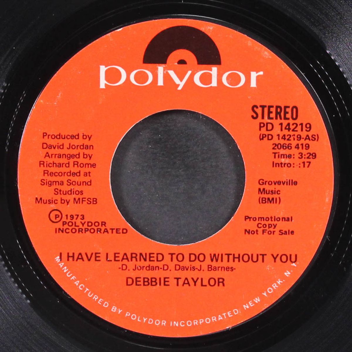 i have learned to do without you / mono by DEBBIE TAYLOR