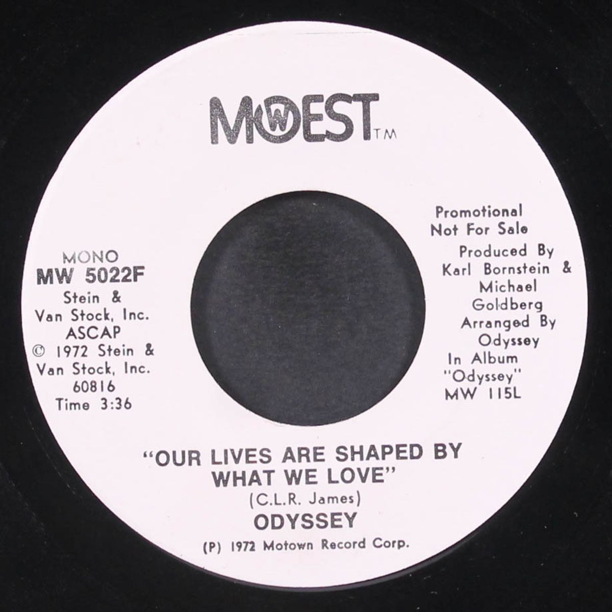 our lives are shaped by what we love / mono by ODYSSEY