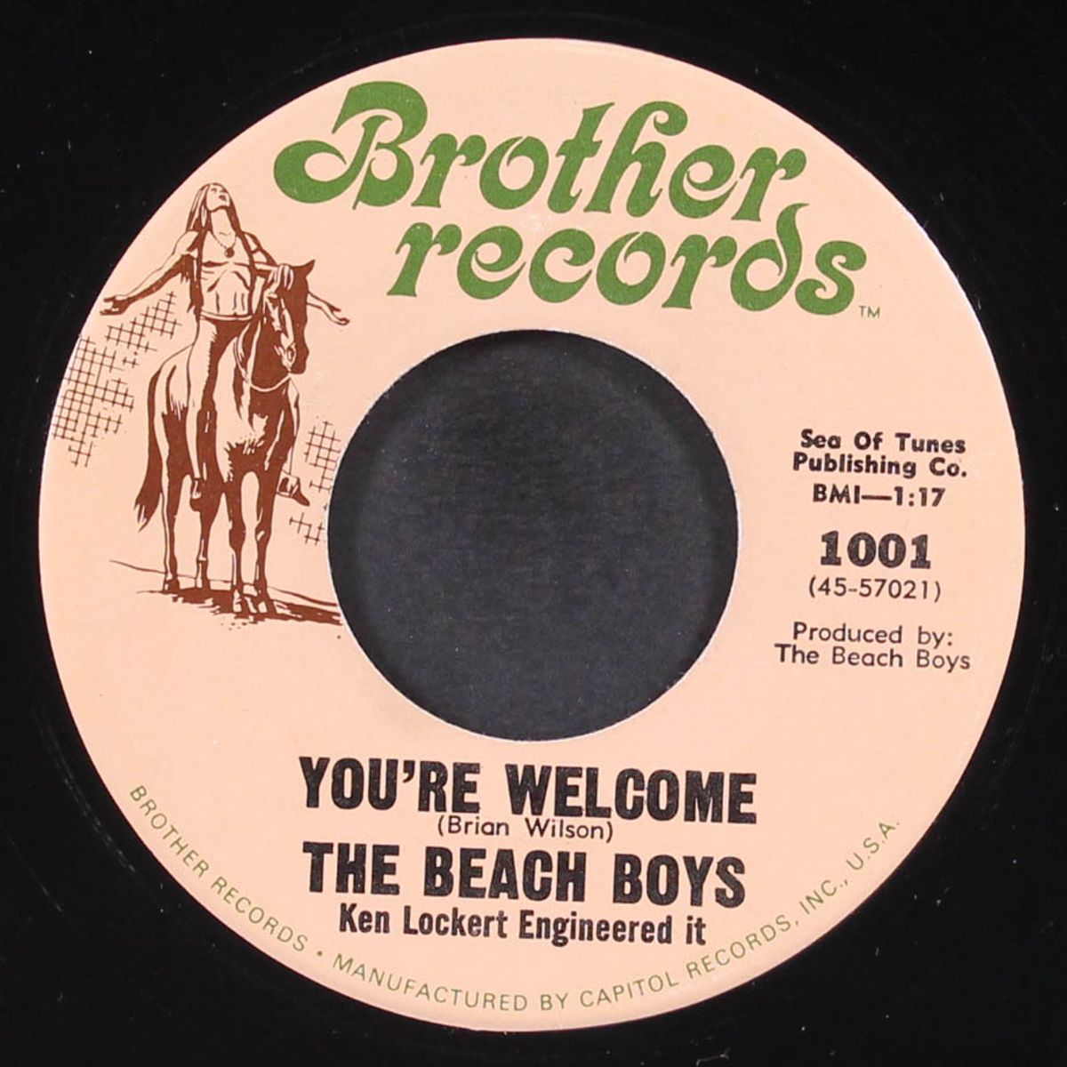 heroes and villains / you're welcome by BEACH BOYS