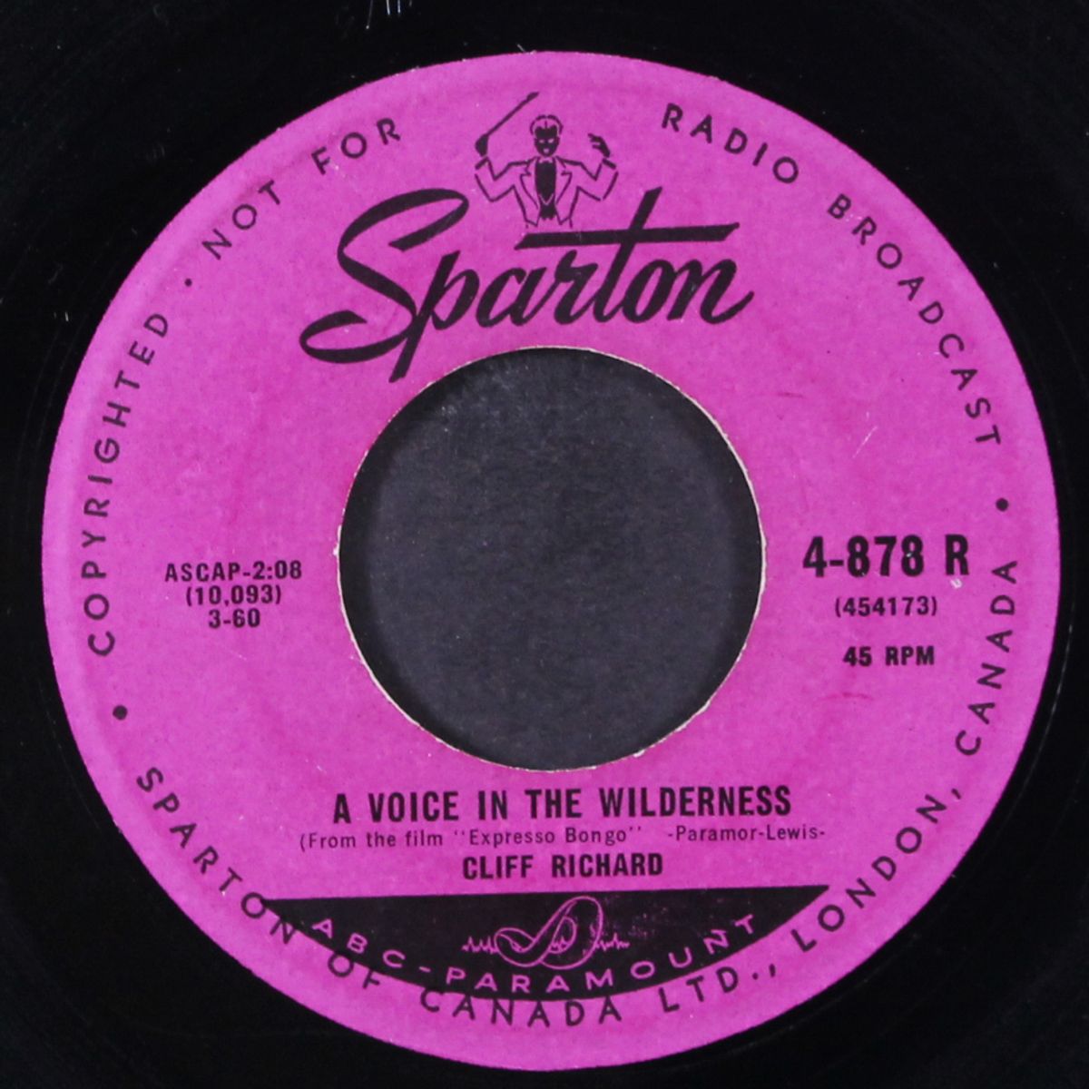 a voice in the wilderness by CLIFF RICHARD