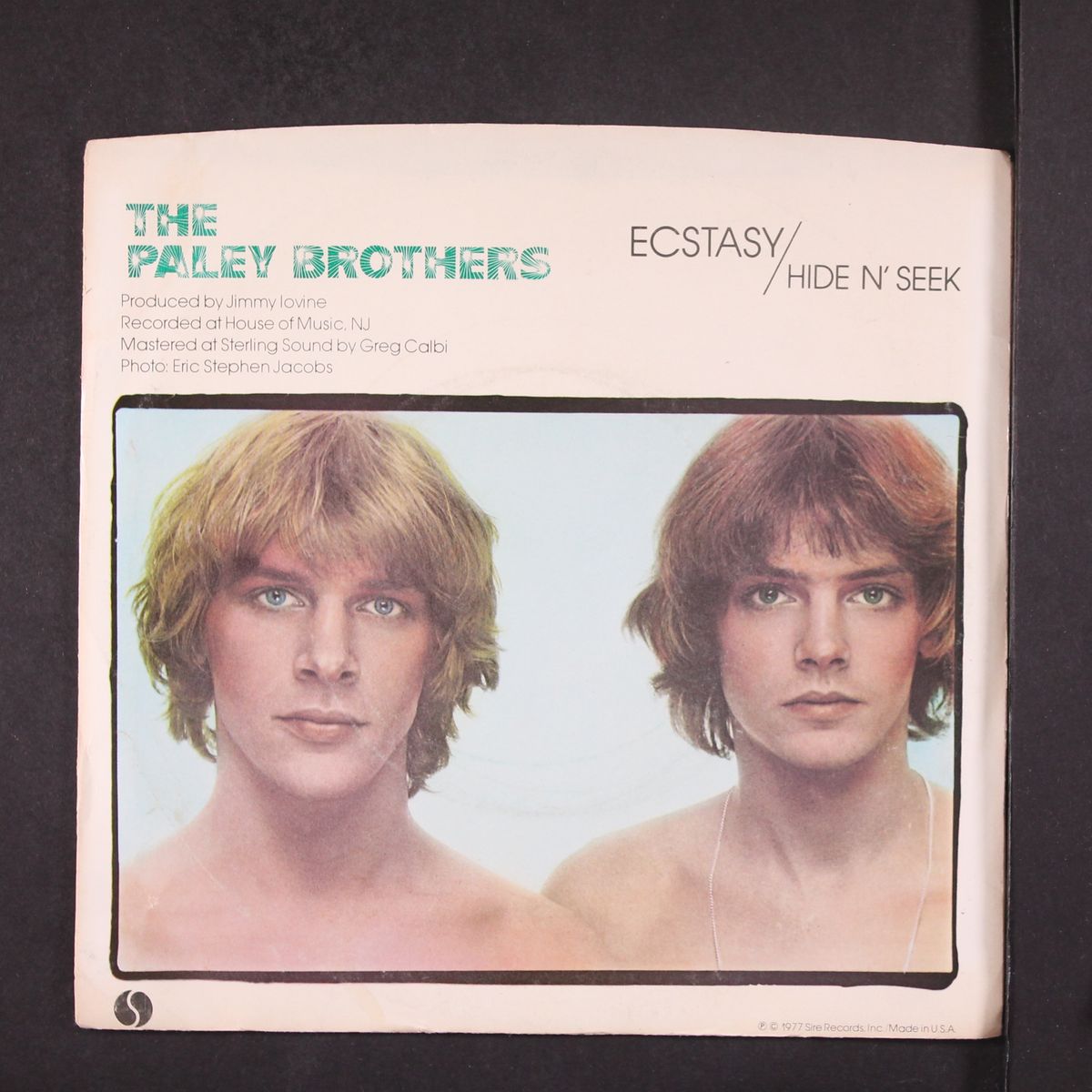 ecstacy / mono by PALEY BROTHERS