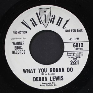DEBRA LEWIS