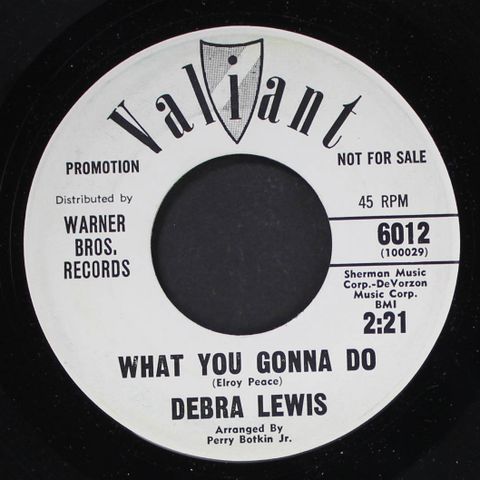 DEBRA LEWIS