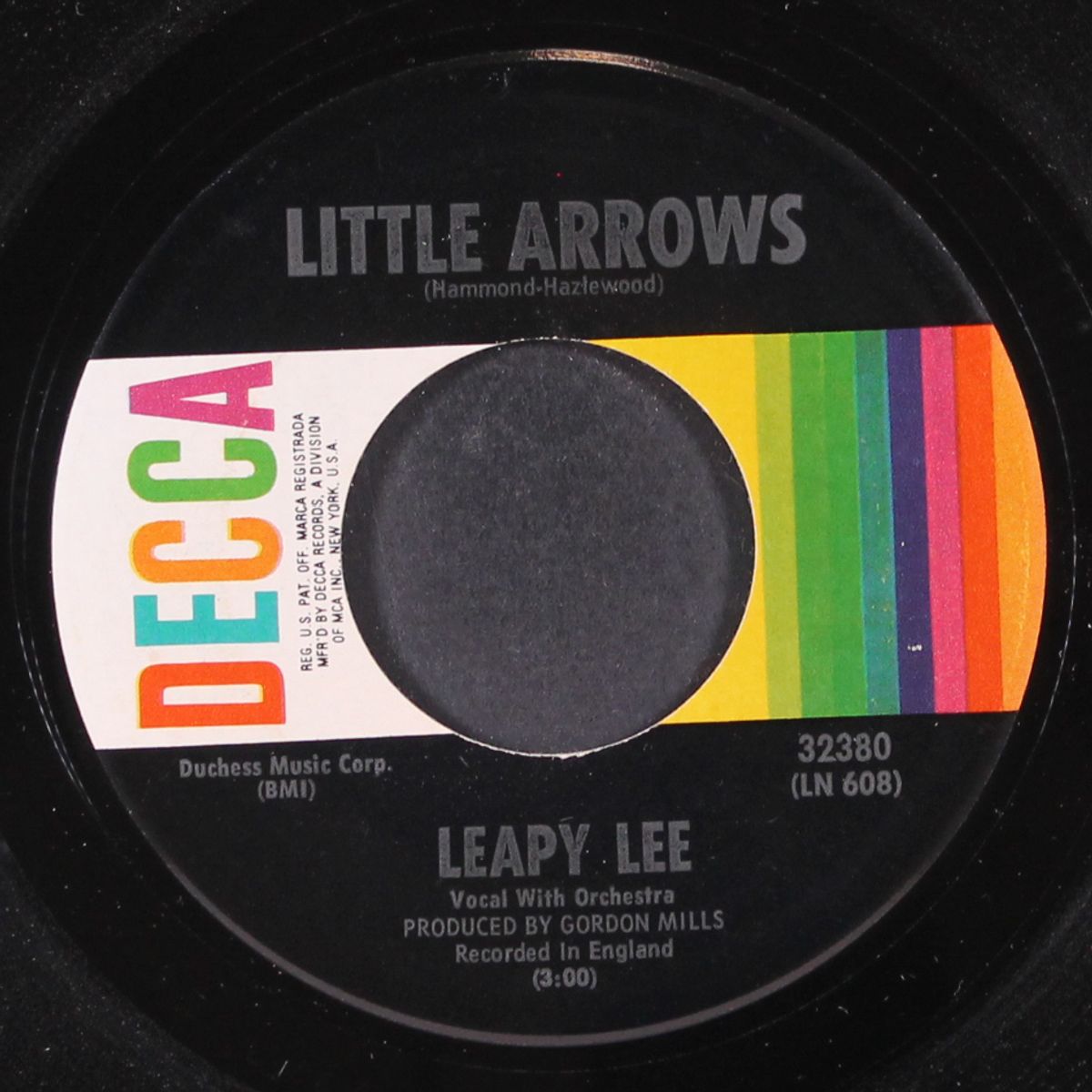 little arrows by LEAPY LEE