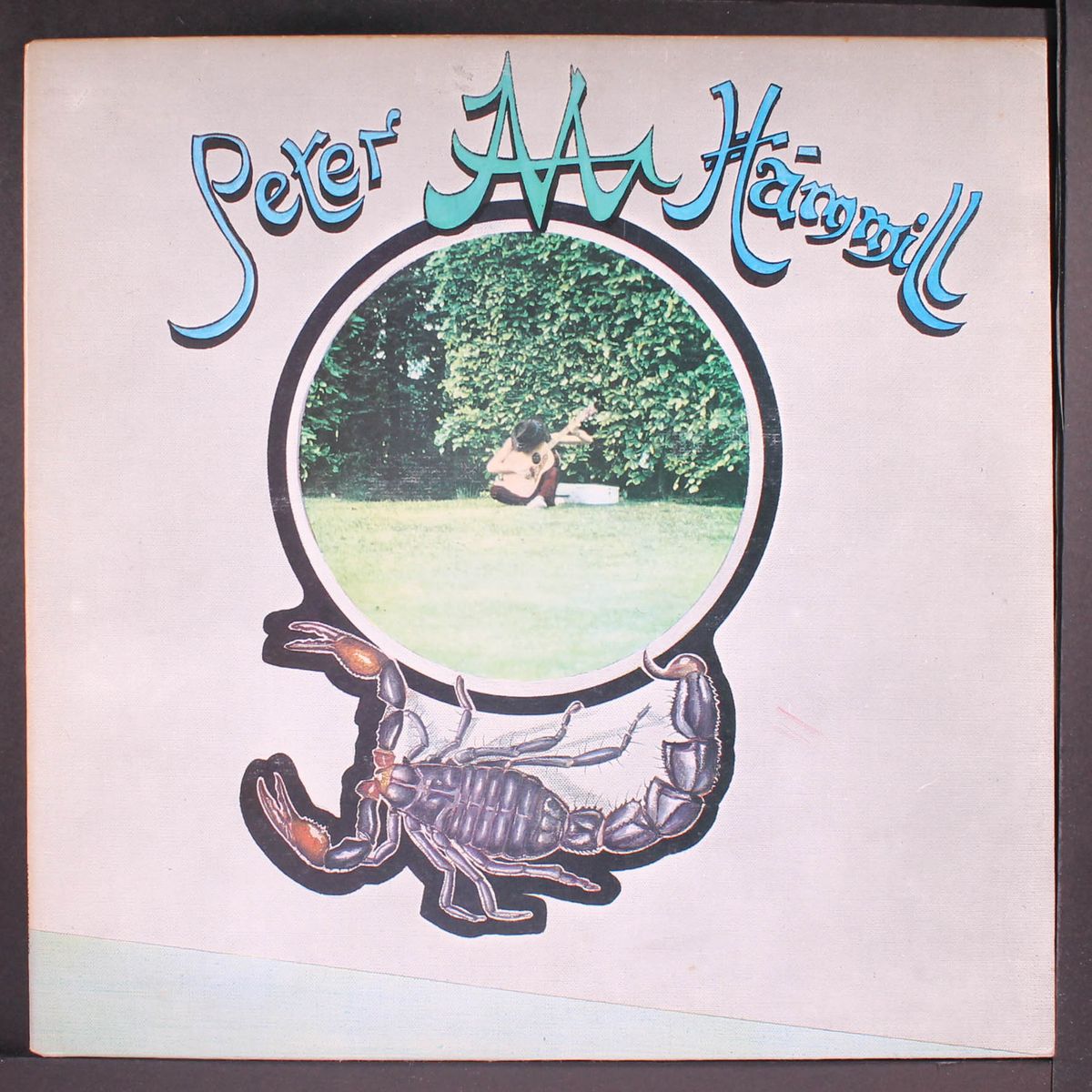 chameleon in the shadow of the night by PETER HAMMILL