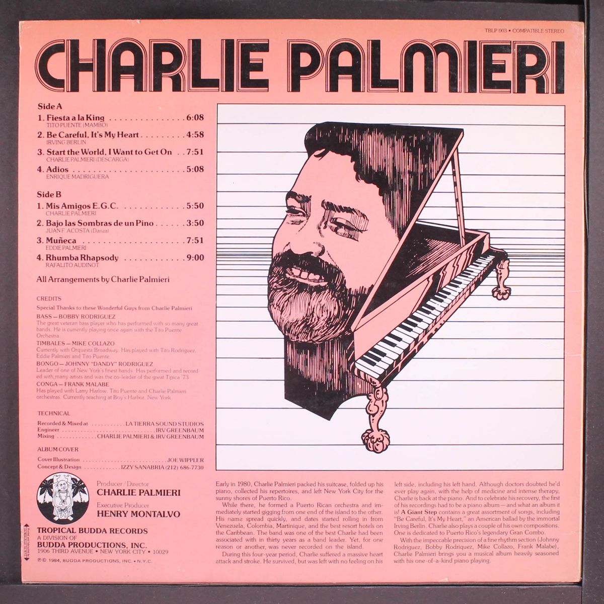 a giant step by CHARLIE PALMIERI