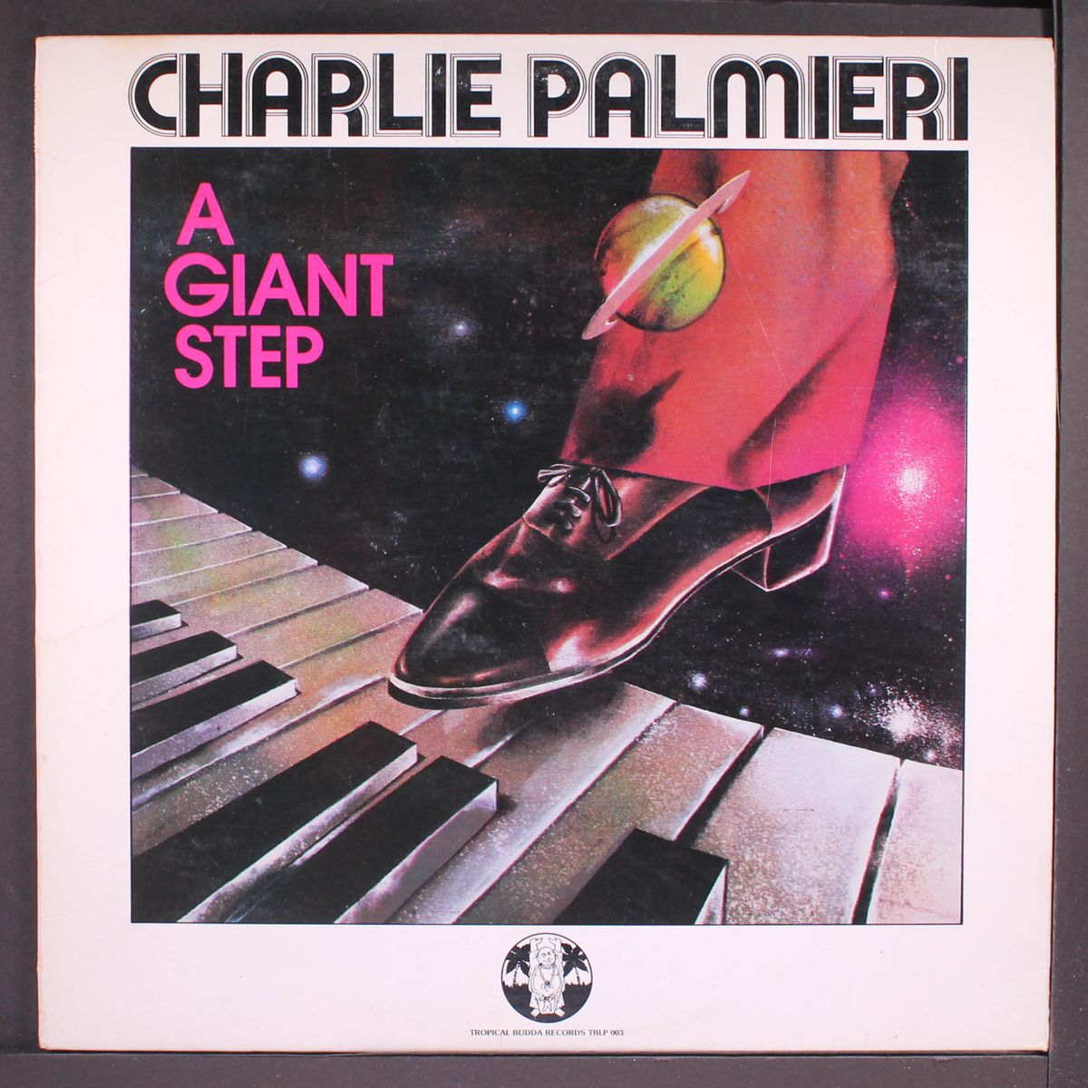 a giant step by CHARLIE PALMIERI
