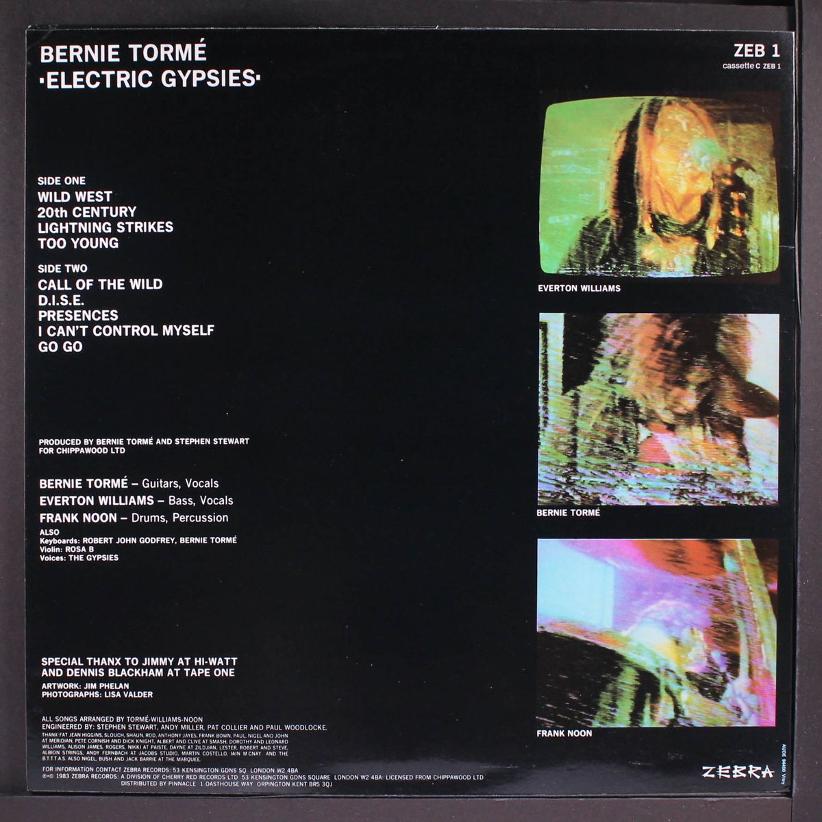 electric gypsies by BERNIE TORME