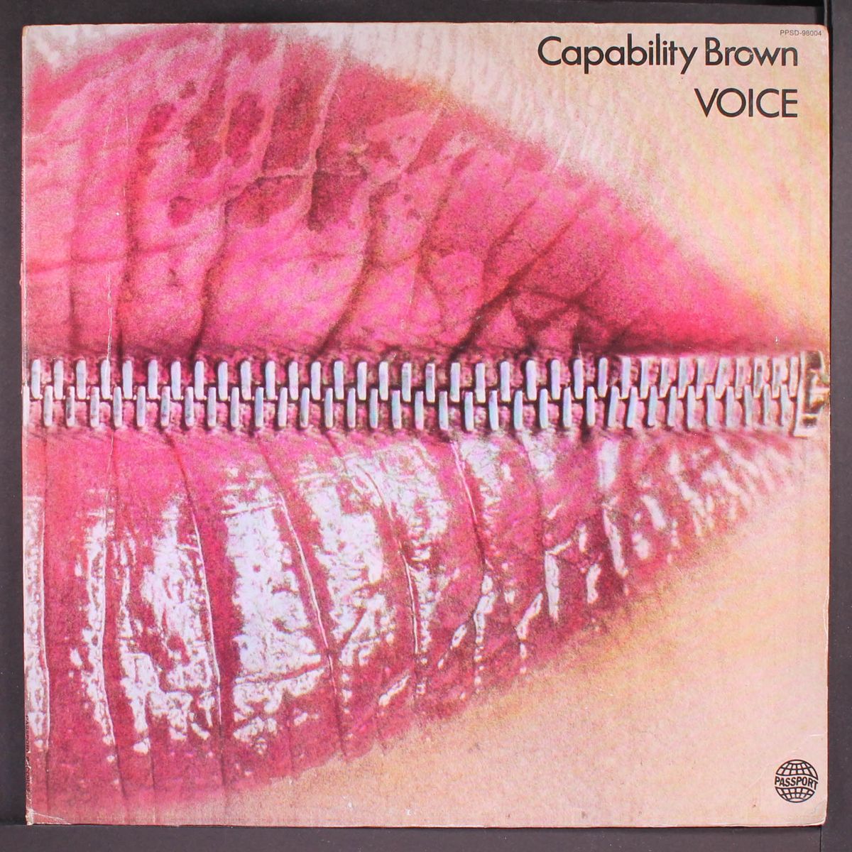 voice by CAPABILITY BROWN