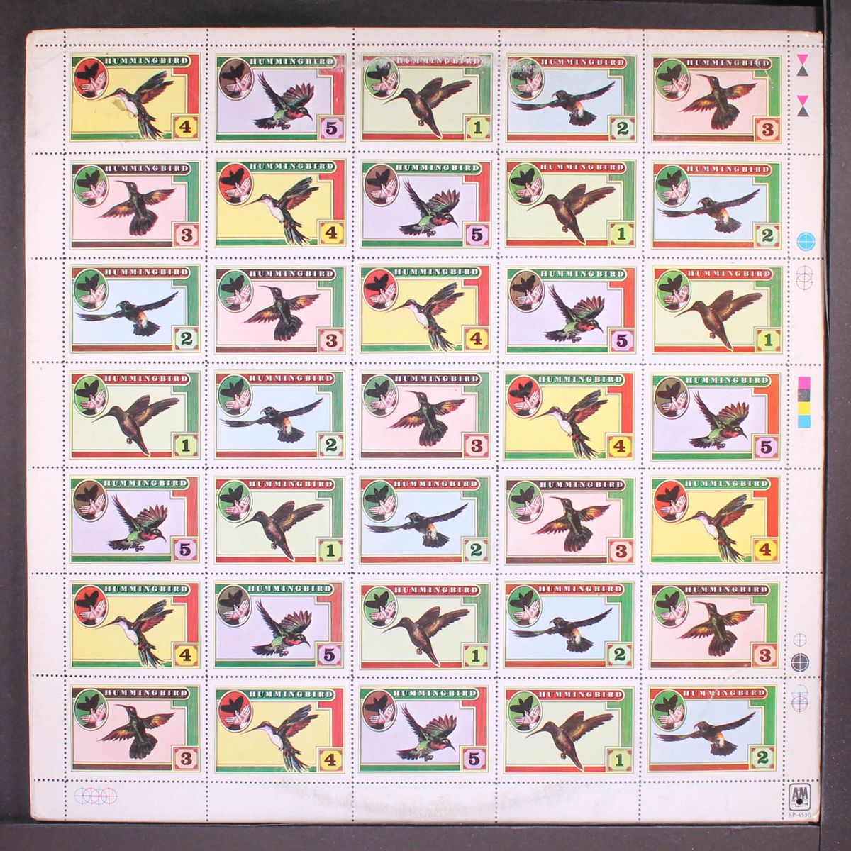hummingbird by HUMMINGBIRD