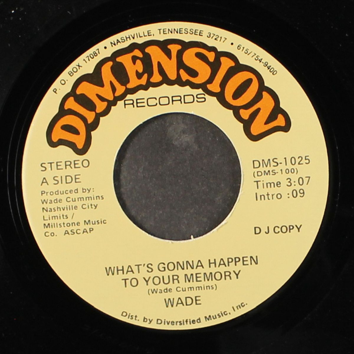 what's gonna happen to your memory / mono by WADE