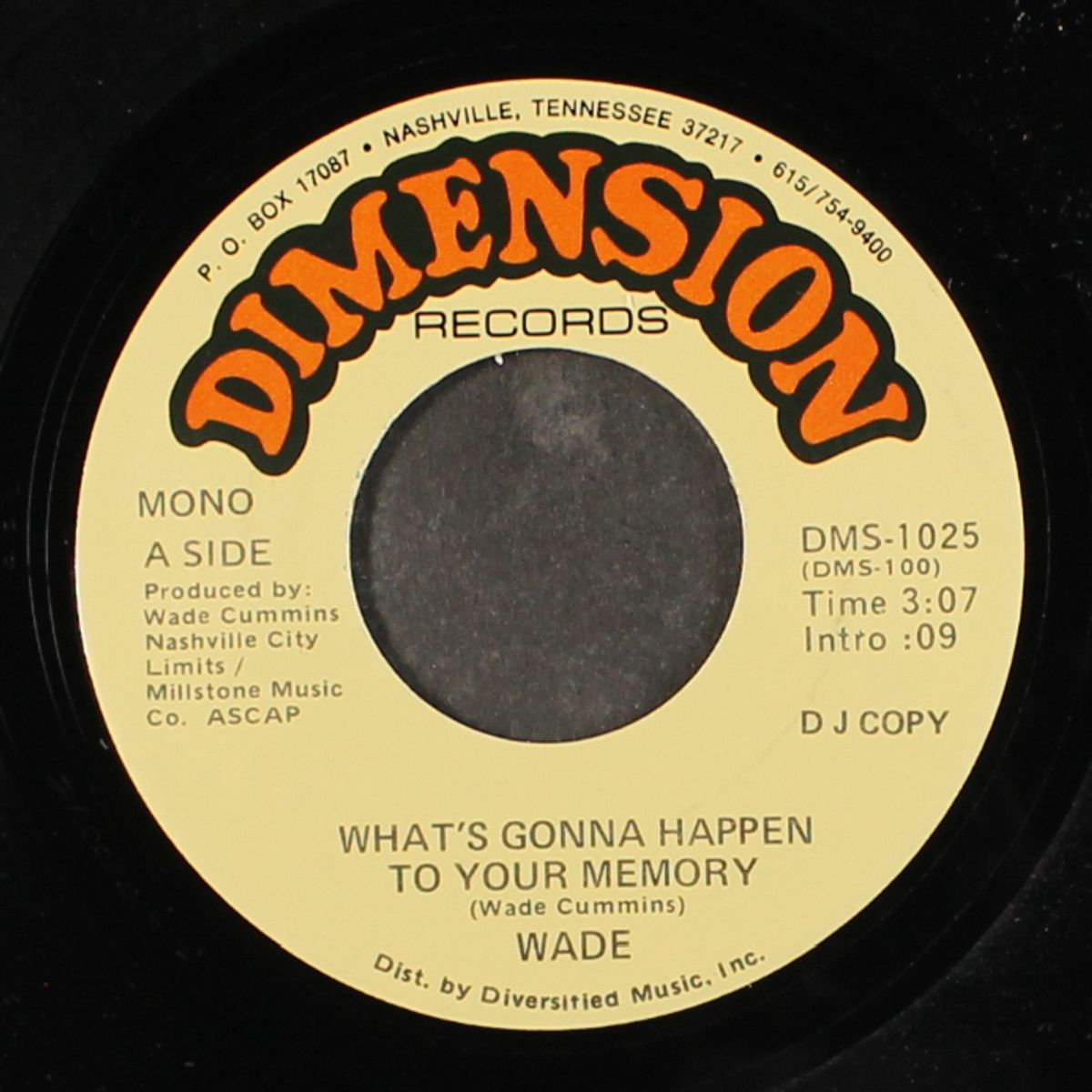 what's gonna happen to your memory / mono by WADE